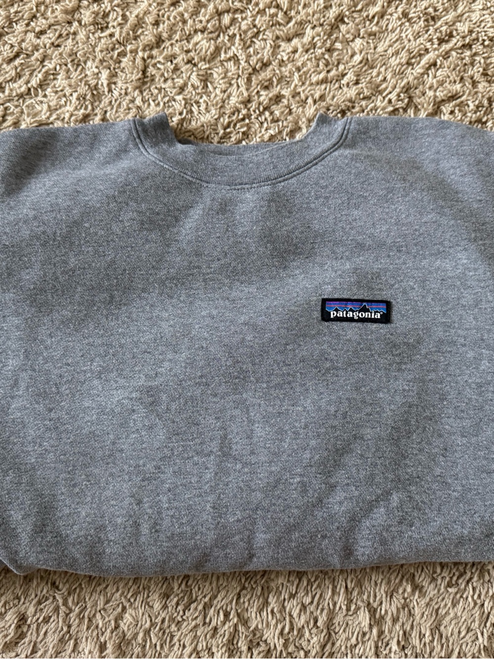 Patagonia Gray Crewneck Sweatshirt with Logo Patch